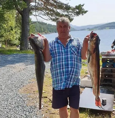 Landlig Hus Pa Kysten