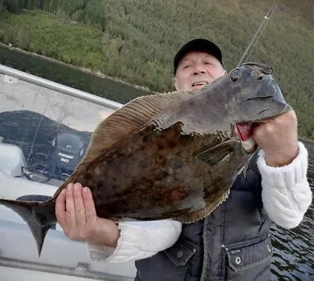 Landlig Hus Pa Kysten * Tustna